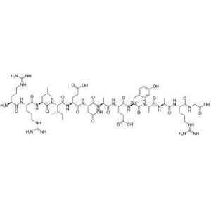 RR-SRC, Protein Tyrosine Kinase Substrate