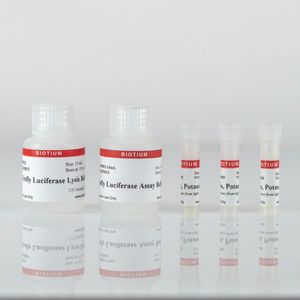 Firefly Luciferase Assay Kit 2.0, 1000 Assays