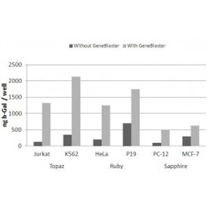 Geneblasters -for Transfection Assay