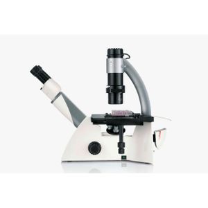 DMi1 Inverted Microscope for Cell Culture