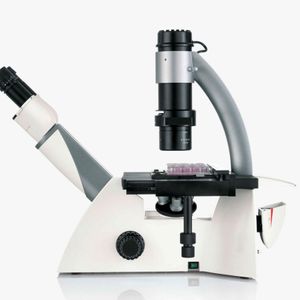 DMi1 Inverted Microscope for Cell Culture