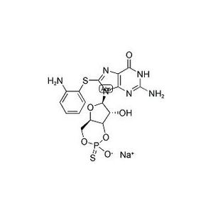 Guanosine-3′,5′-cyclic Monophosphate, 8-(2-Aminophenylthio)-Sodium Salt