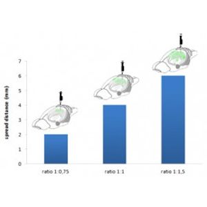 BrainFectIN -In vivo Transfection Reagent