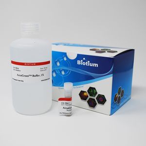 AccuGreen™ High Sensitivity dsDNA Quantitation Solution (100 assays)