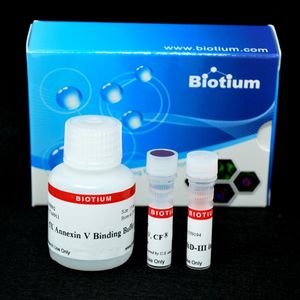 Apoptosis and Necrosis Quantitation Kit Plus (50 assays)