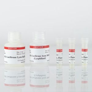 Firefly Luciferase Assay Kit (Lyophilized)