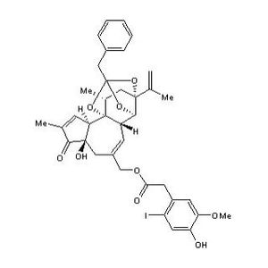 6'-Iodoresiniferatoxin