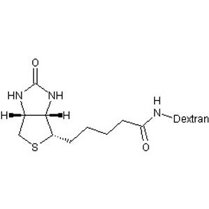 Anti-SOX10 antibody [SP267](AB227680)