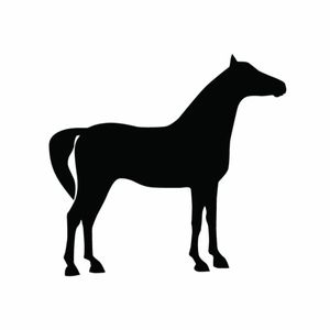 Donor Horse Serum – Heat Inactivated – US Origin