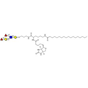 Lewis b (Leb) pentaose linked to biotin and stearic chain (Linker-BT-STEA A)