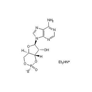 Rp-Adenosine 3′,5′-cyclic Monophosphorothioate, Sodium Salt