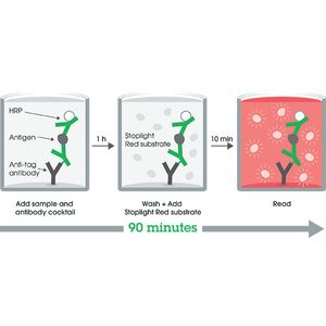 Proteasome Activity Assay Kit(AB107921)