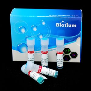 Forget-Me-Not™ EvaGreen® qPCR Master Mix (No ROX, No Template Buffer) (1000 reactions)