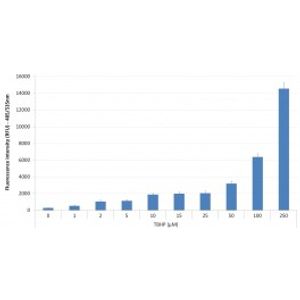 ROS Detection Assay Kit -for Transfection Assay