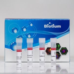 ExoBrite™ 555/575 True EV Membrane Stain, 500 labelings