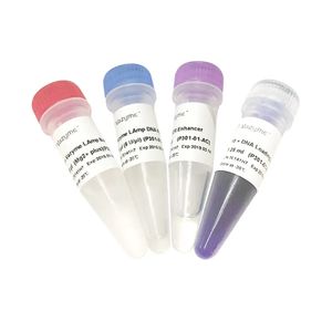 Vazyme LAmp DNA Polymerase (Mg2+ plus buffer) P301 | Science Company ...