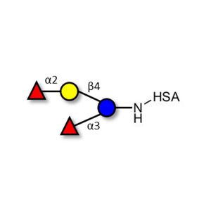 Difucosyllactose (DFL) / Lactodifucotetraose grafted on HSA
