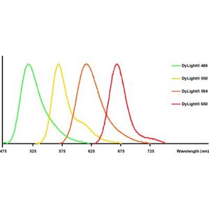 Lipid Peroxidation (4-HNE) Assay Kit(AB238538)