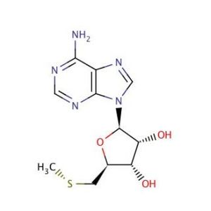 5′-Deoxy-5′-methylthioadenosine