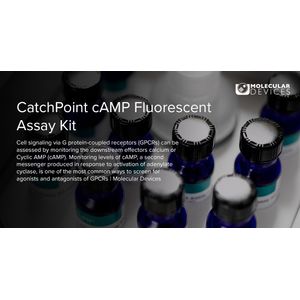 CatchPoint® cAMP Fluorescent Assay Kit