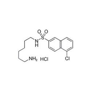 W-7 Isomer hydrochloride-2