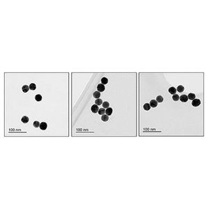 40nm Gold Nanoparticles (10 OD)