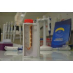 Mag4C Conservation Buffer