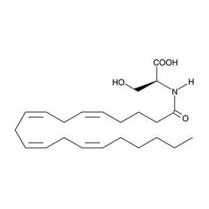 N-Arachidonoyl-L-serine