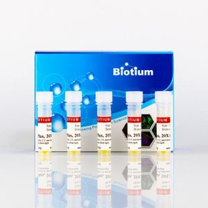 EvaGreen® Plus, 20X in Water, 5x1 mL