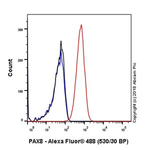 Anti-PAX8 antibody [SP348] - N-terminal