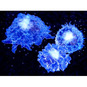 iQue QBeads® PlexScreen