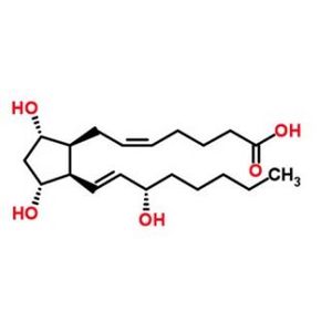 8-epi-Prostaglandin F2α