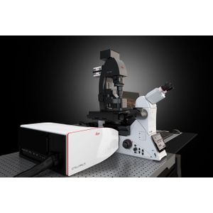 STELLARIS DLS Digital Light Sheet Microscope
