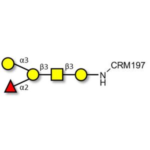 Blood group B antigen pentaose type 4 grafted on CRM197
