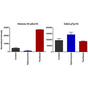 Human Fibronectin ELISA Kit(AB219046)