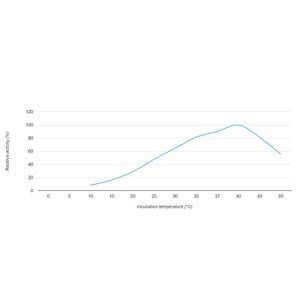 IsoPol™ DNA Polymerase