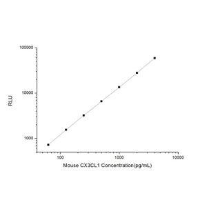 Mouse CX3CL1 (Chemokine C-X3-C-Motif Ligand 1) CLIA Kit