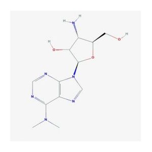 Puromycin Aminonucleoside-2