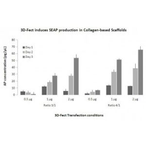 SEAP Assay kit -for Transfection Assay