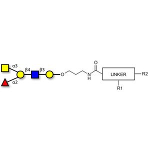 Blood group A antigen pentaose type 2 with customizable dual functionalization