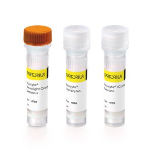 Incucyte® NeuroPrime Orange Cell and Reagent Kit