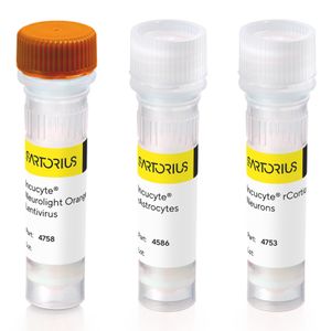 Incucyte® NeuroPrime Orange Cell and Reagent Kit