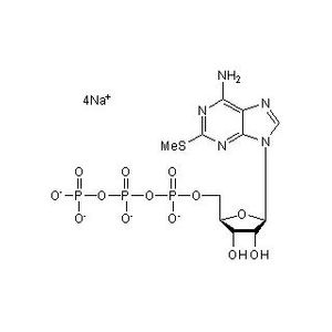 2-Methylthioadenosine Triphosphate Sodium Salt