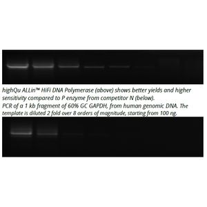 ALLin™ HiFi DNA Polymerase
