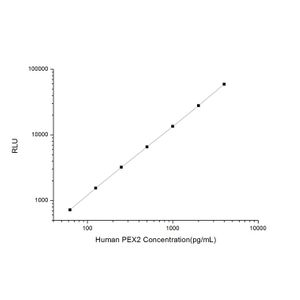 Human PEX2 (Peroxisomal Biogenesis Factor 2) CLIA Kit
