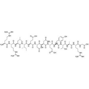 pp60v-src Autophosphorylation Site, Tyrosine Kinase Substrate