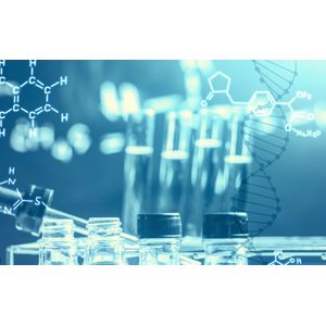 ChromosomeSynchro KIT P