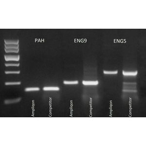 "Taq DNA Polymerase -Without buffer, 5 U/µl"
