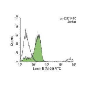 mouse anti-goat IgG-FITC