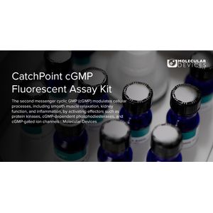 CatchPoint® cGMP Fluorescent Assay Kit